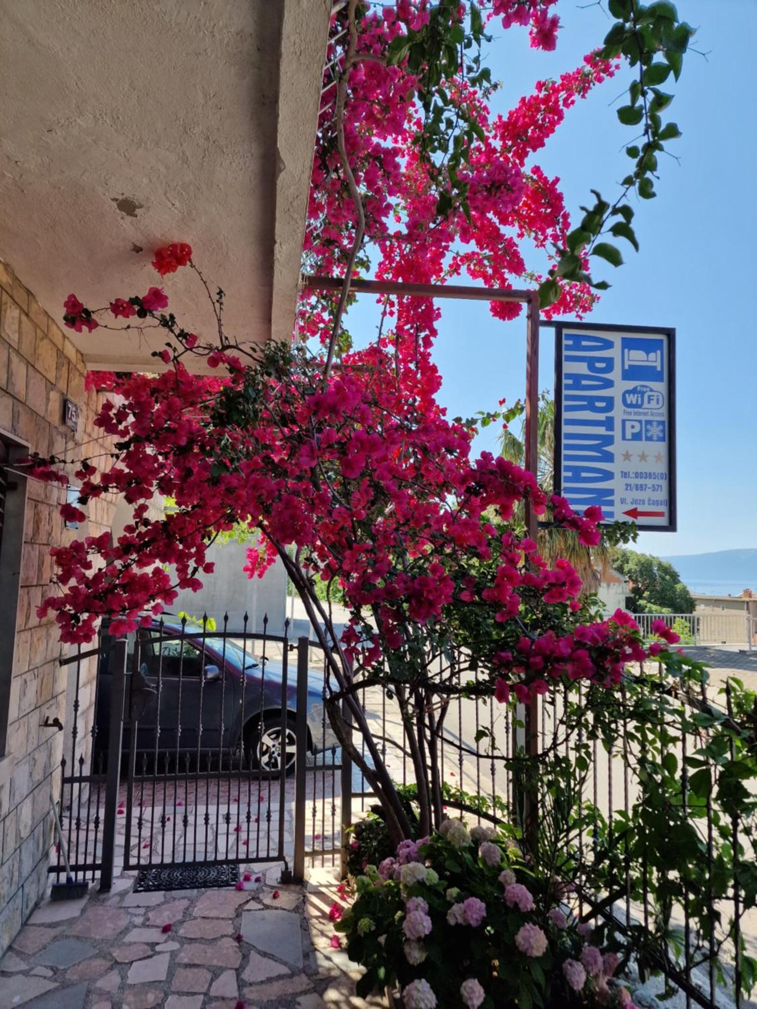 Apartments Palma Gradac  Dış mekan fotoğraf